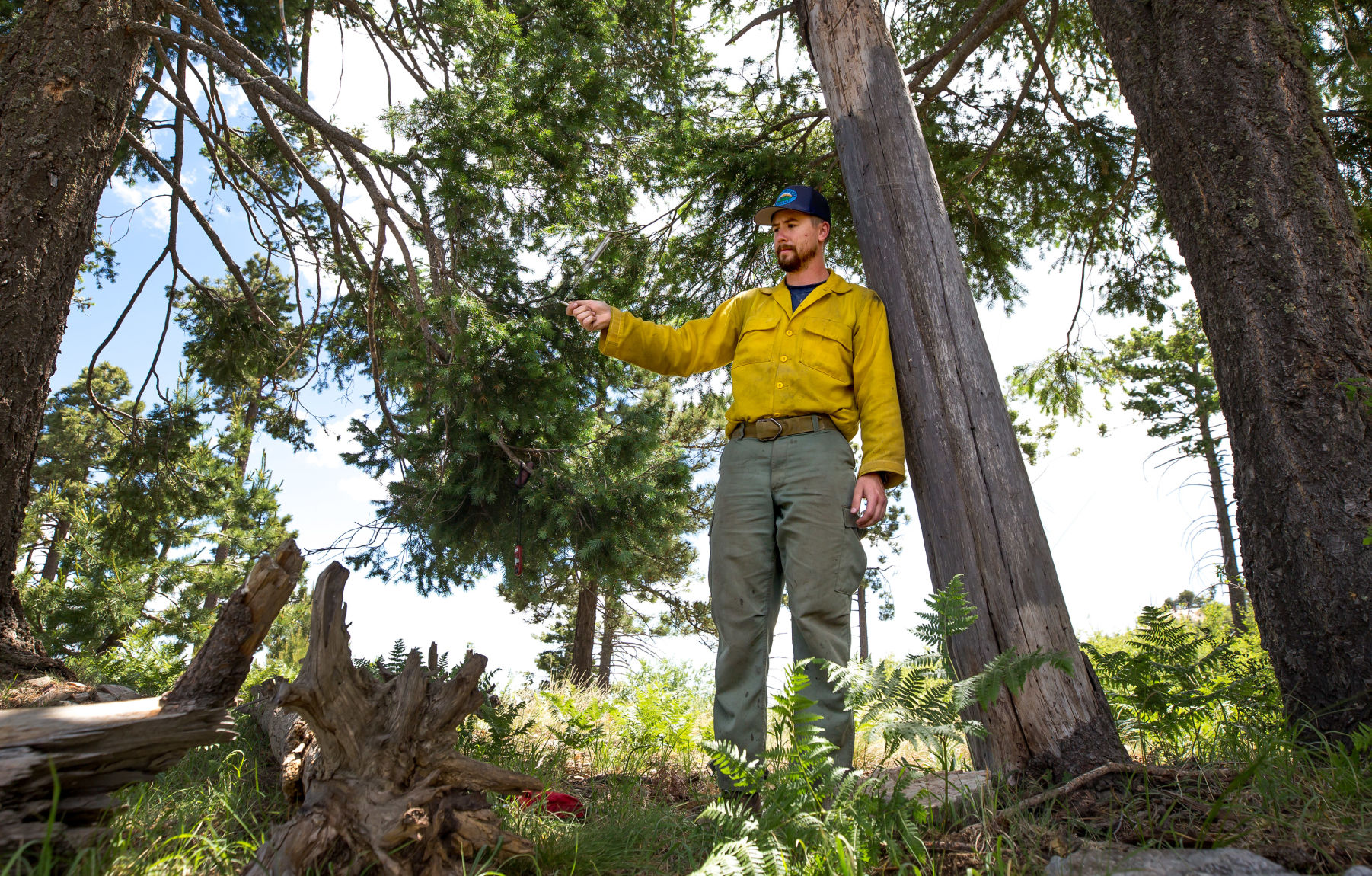 Bighorn Fire- Arizona
